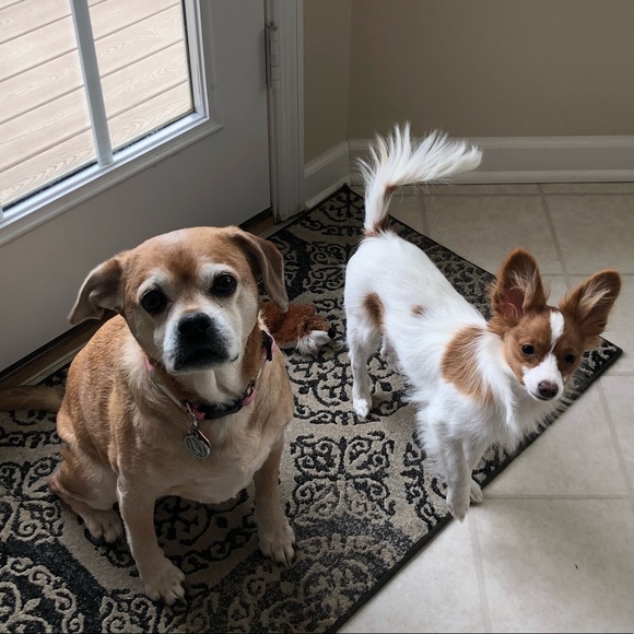 Meet your Posher, Eboney - Picture 2 of 2